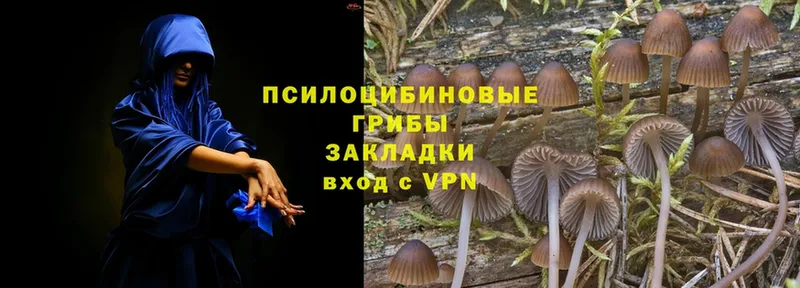 Псилоцибиновые грибы Cubensis  MEGA   Изобильный 